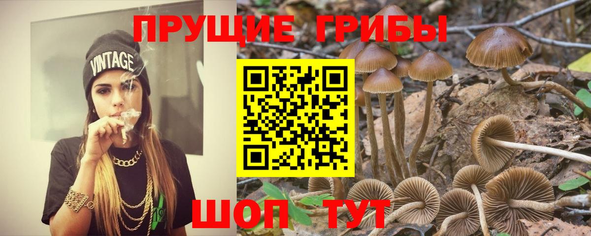 Галлюциногенные грибы прущие грибы  купить  сайты  Старый Оскол  Вход с VPN 