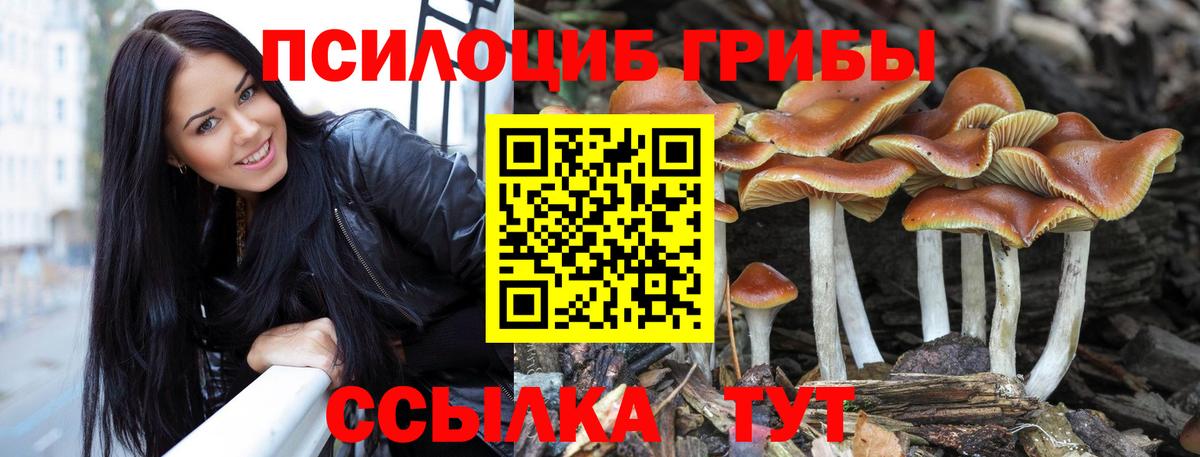 Галлюциногенные грибы ЛСД Старый Оскол